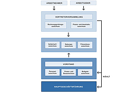 Organigramm Selbstverwaltung der BGN